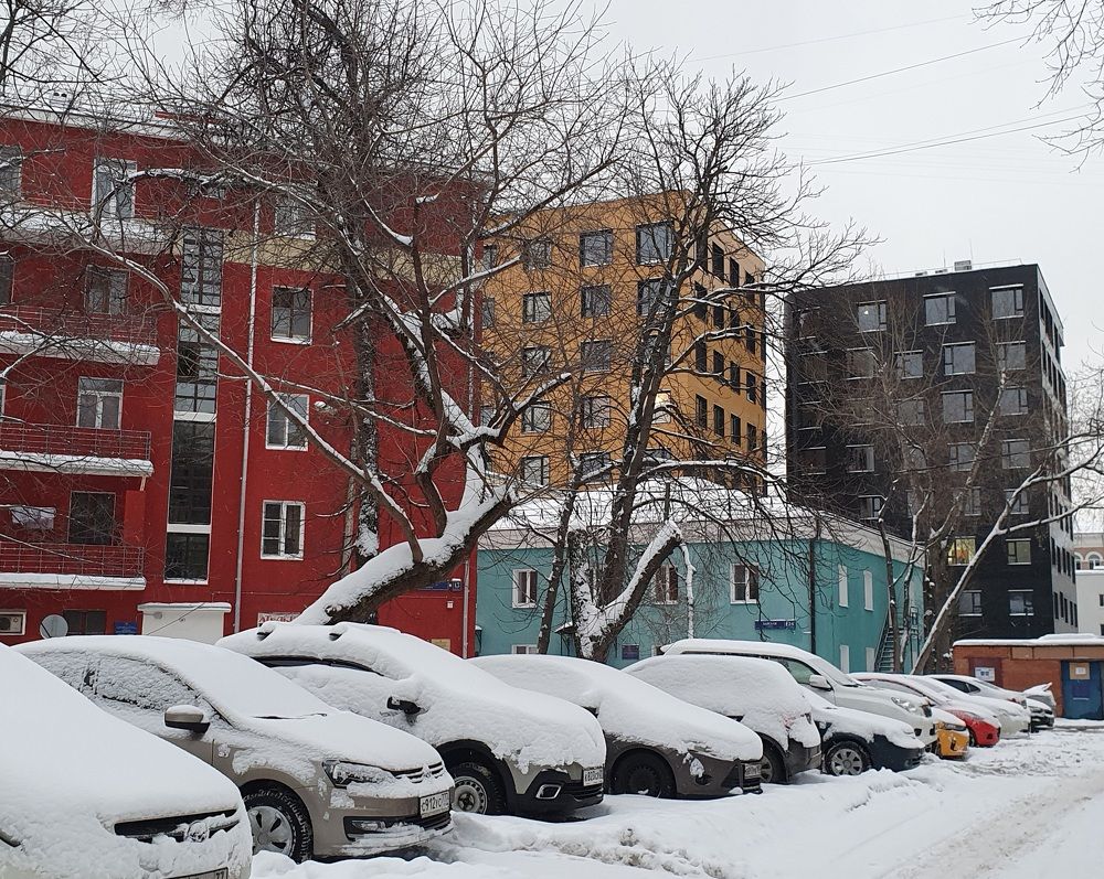 Зимнее разноцветье