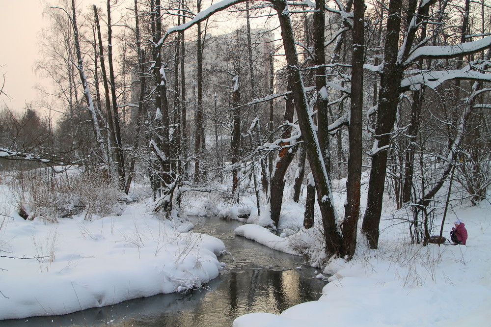 Зима в Видном