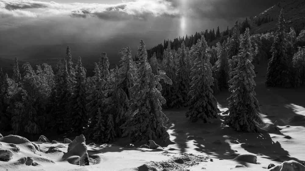 Photograph by Бодрягин Виталий