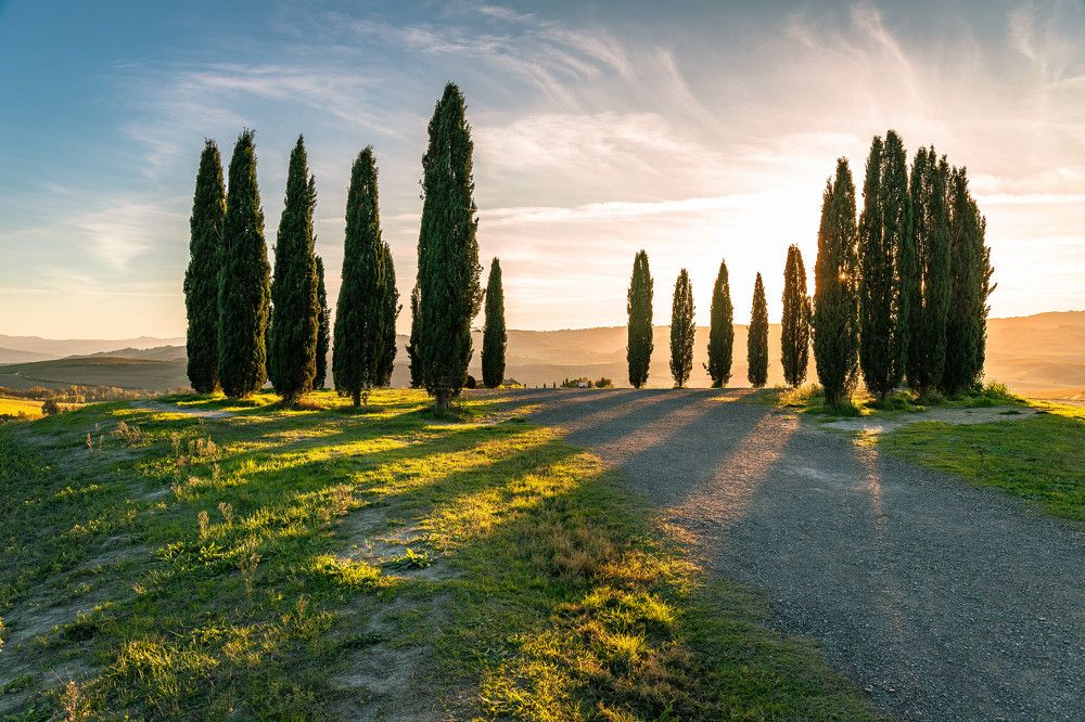 Photograph by Elena Itenberg