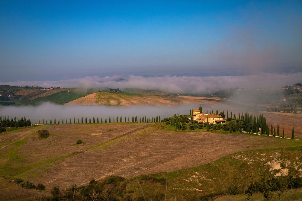 Photograph by Elena Itenberg