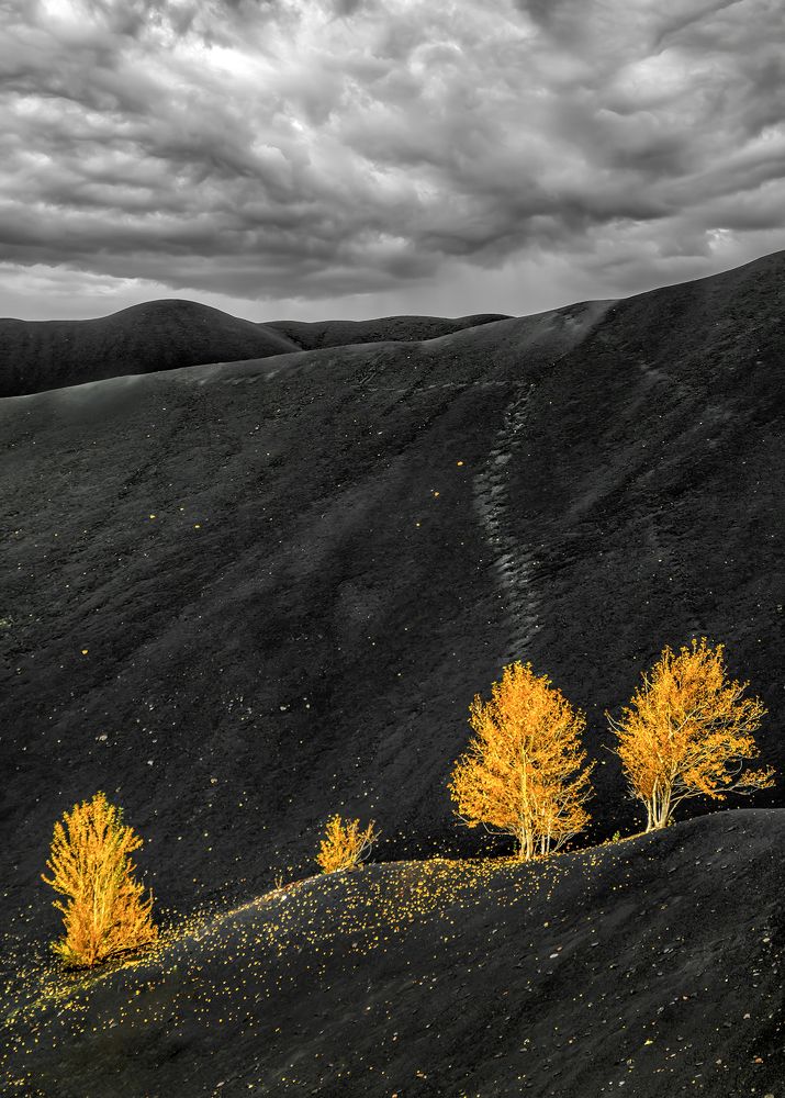 Photograph by александр