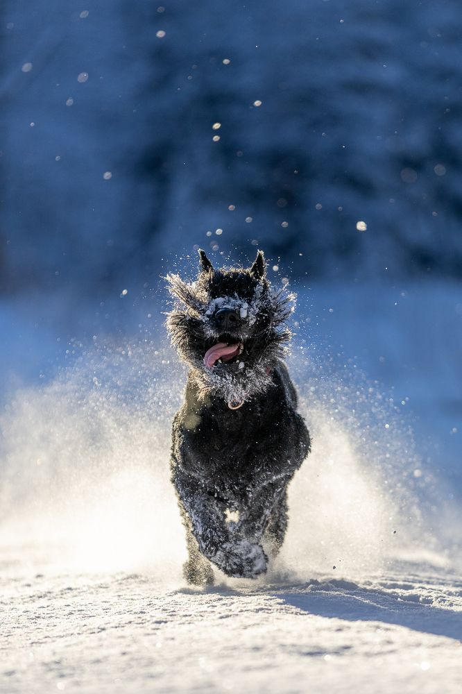 Photograph by Nadezhda