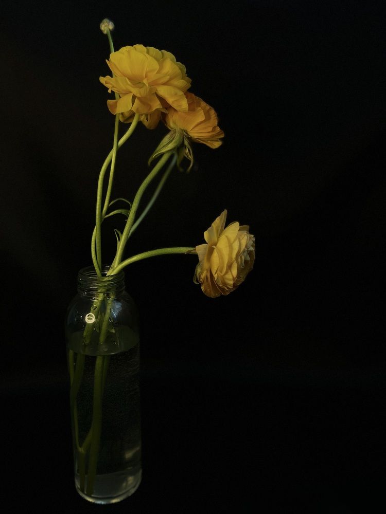 Желтый цветок