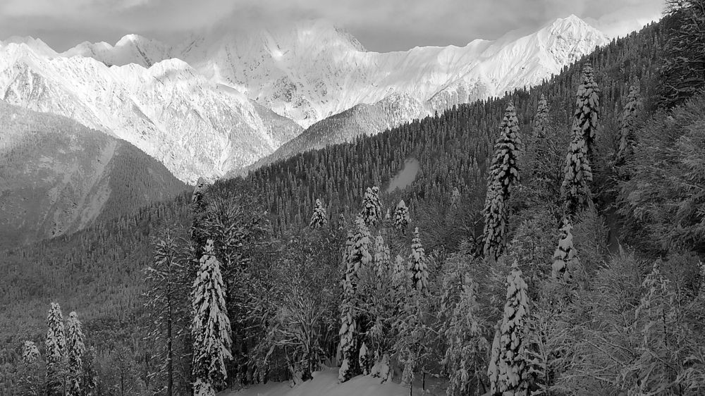 Фотография автора Антон Ульрих