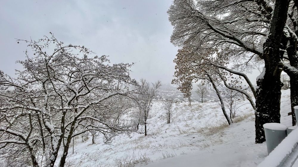 Photograph by Марина Измайлова