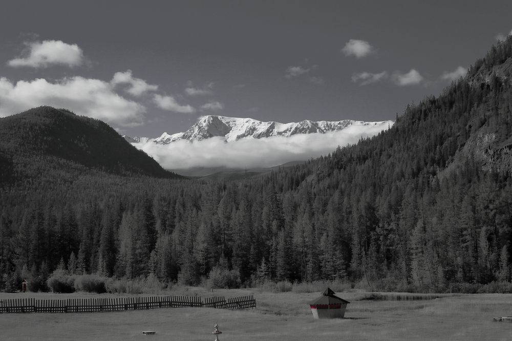 Photograph by Юлия Шишкина (Julia Madera)