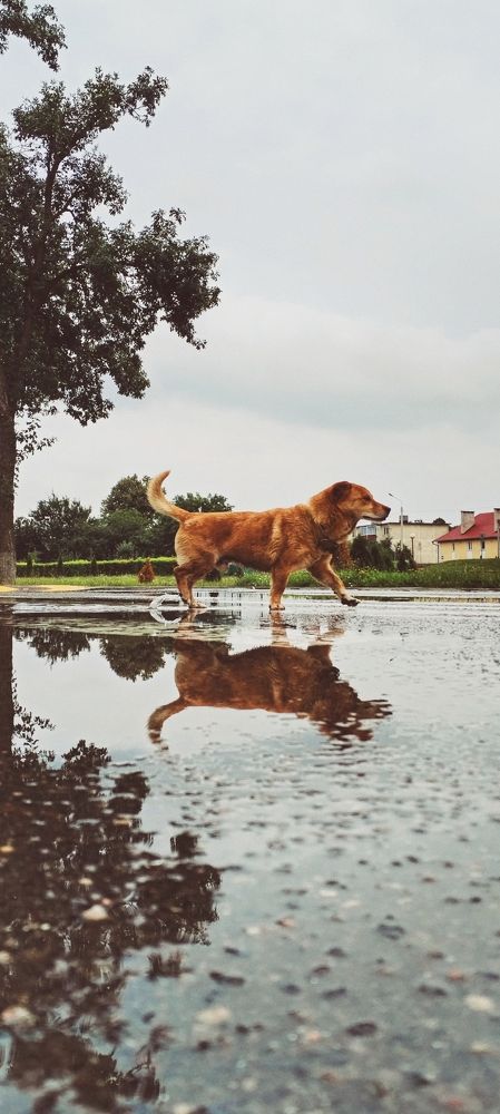 Photograph by Liudmila Pilets