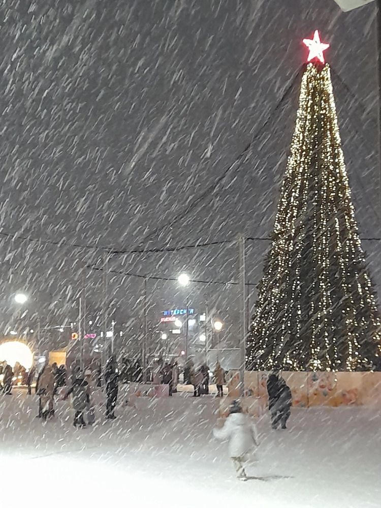 Photograph by Елена Малкова