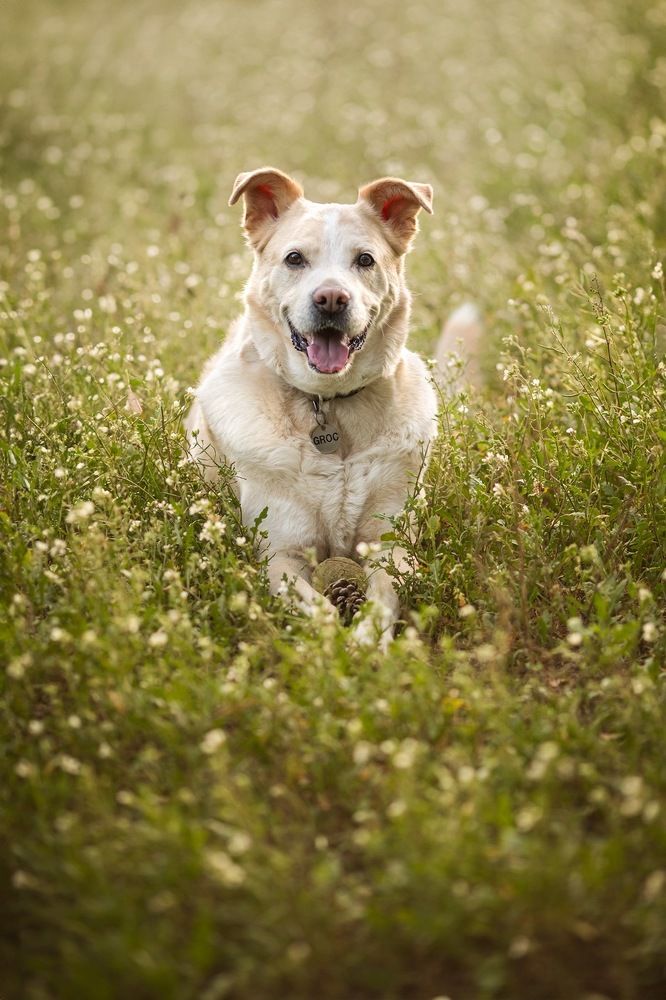 Photograph by Mònica Udina