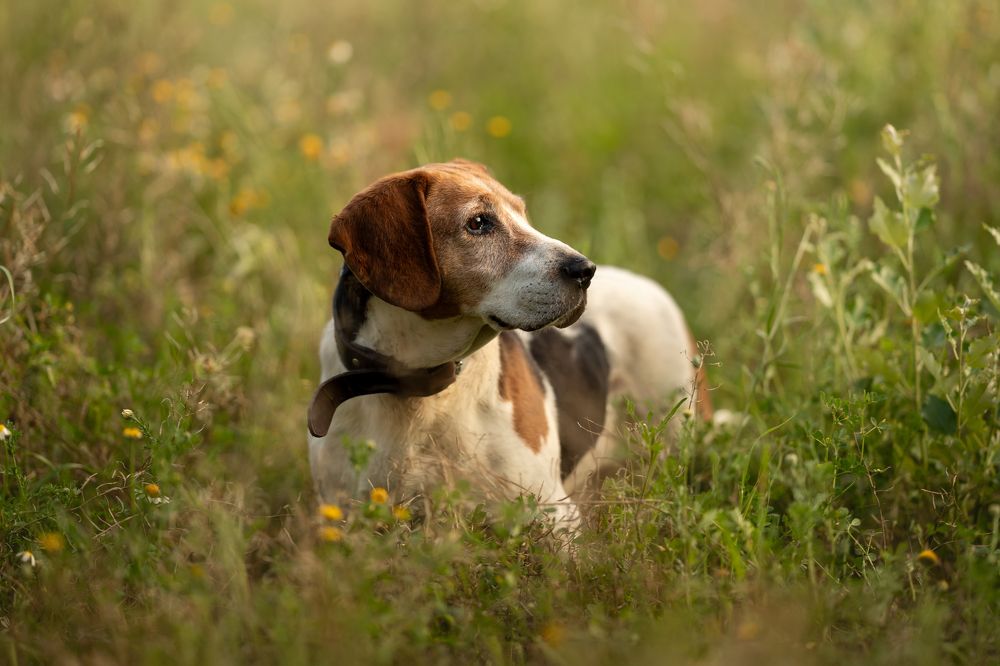 Photograph by Mònica Udina