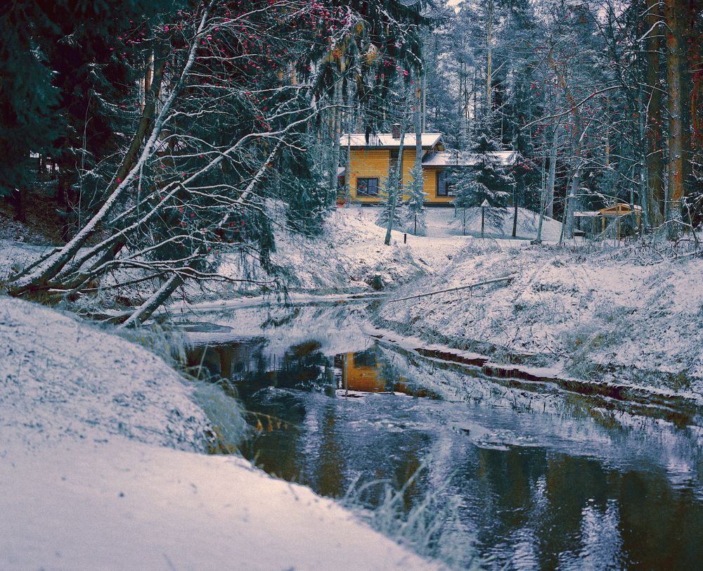 Фотография автора Дима Бурза