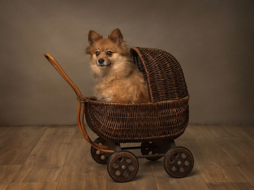 Photograph by Mònica Udina