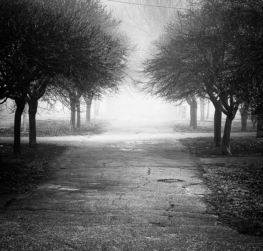 Photograph by Ольга Скиба