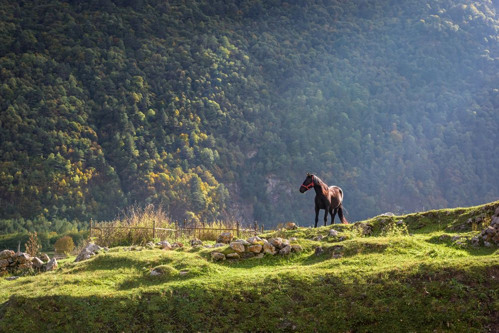 Фотография автора Yakovlev Artur