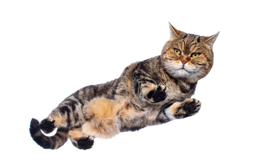 Photograph by Вячеслав Залитко