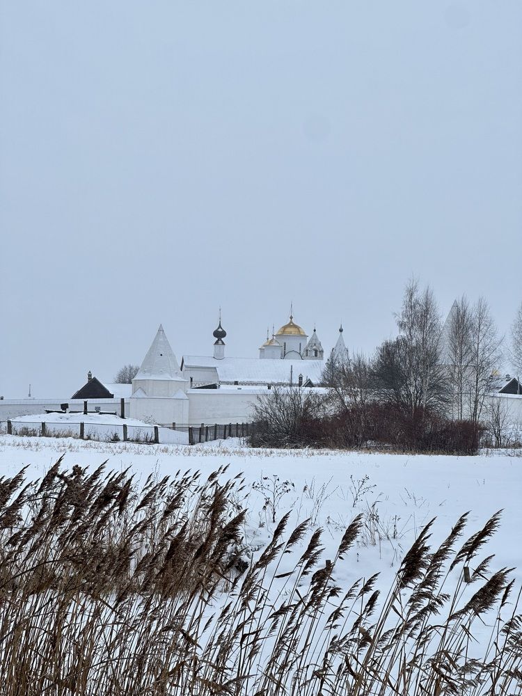 Photograph by Марина Суздаль