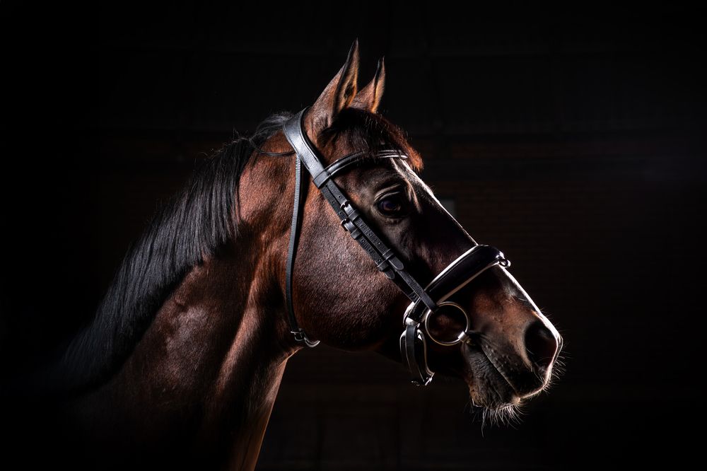 Photograph by Вячеслав Залитко