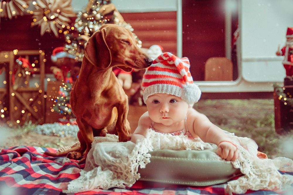 Фотография автора Vanesa Coulleri