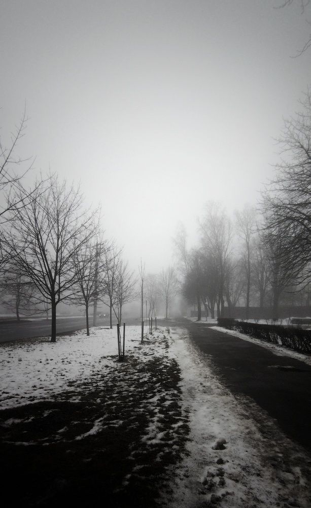 Морок