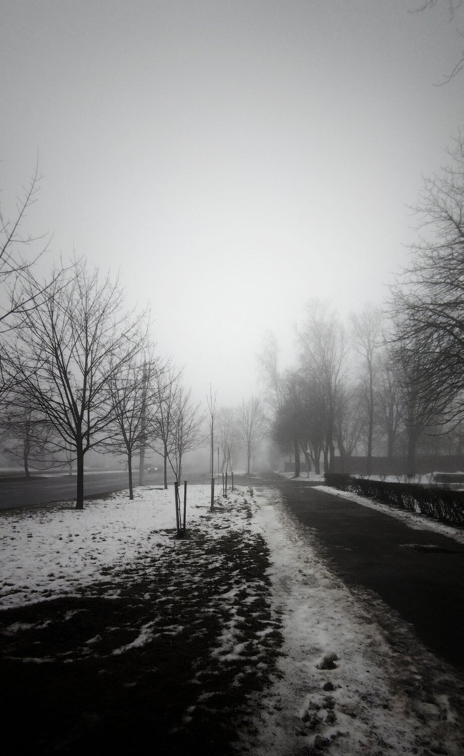 Морок