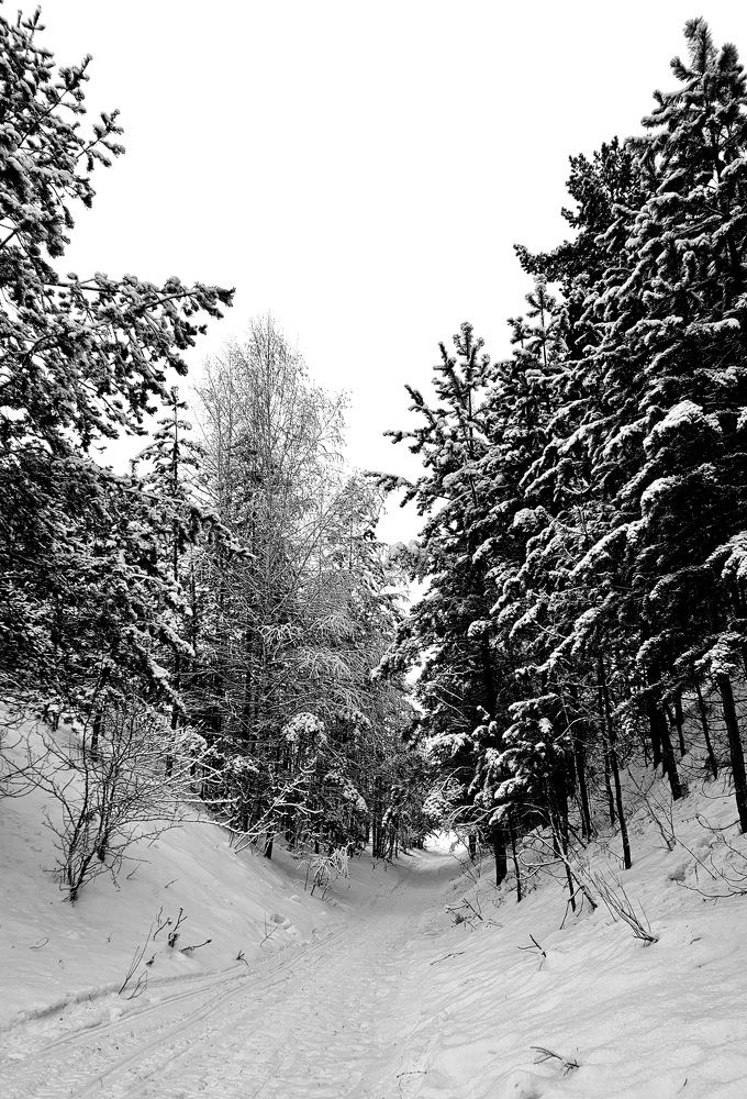 Photograph by Анна Григорьева