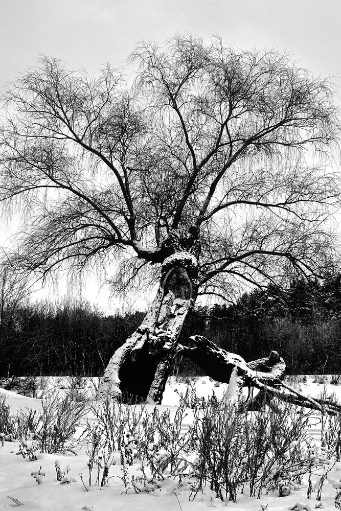 Photograph by Анна Григорьева