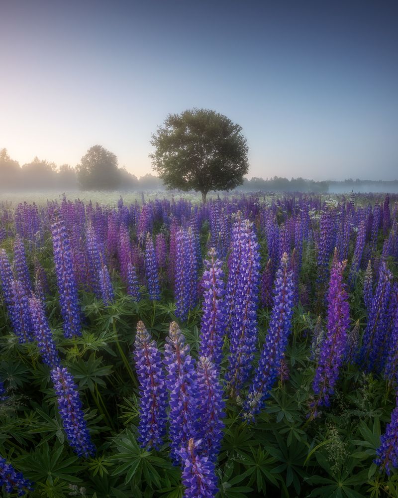 Photograph by Марголин Алексей