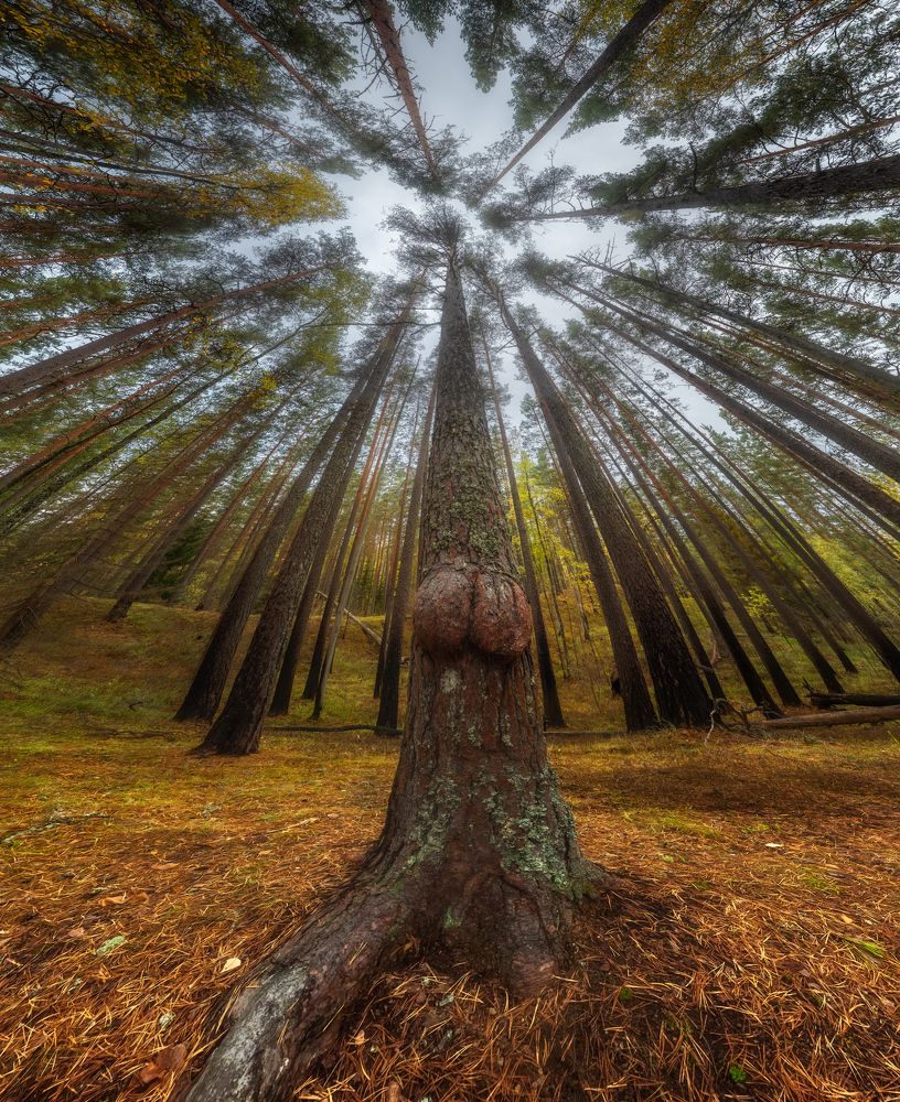 Photograph by Марголин Алексей