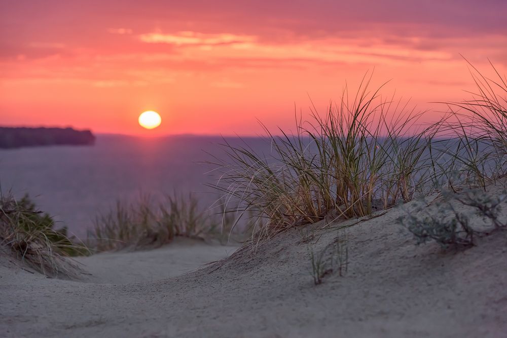 Фотография автора Yakovlev Artur