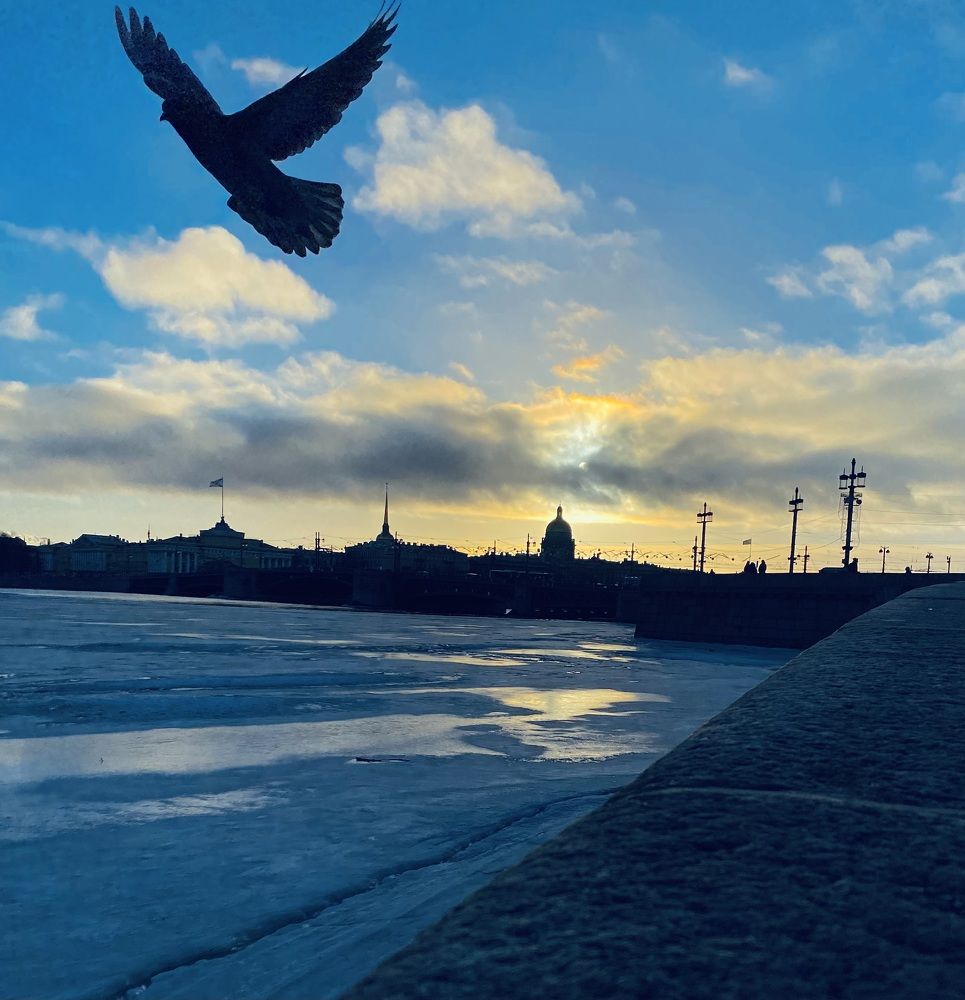 Photograph by Ксения Гулькова