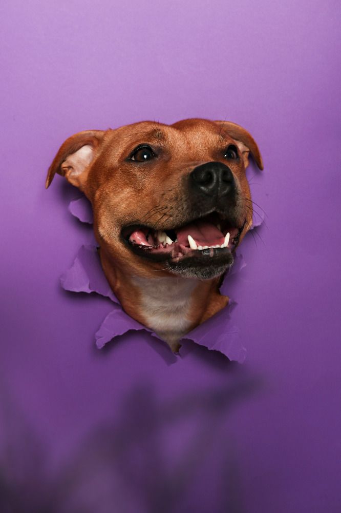 Photograph by Светлана Орешко