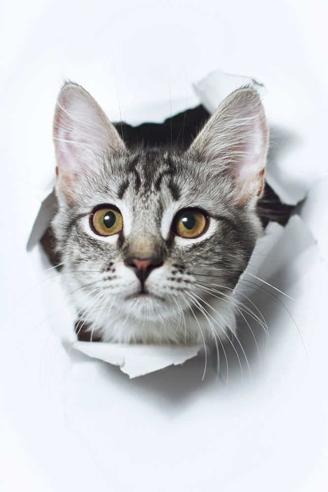 Photograph by Мария Шабурникова