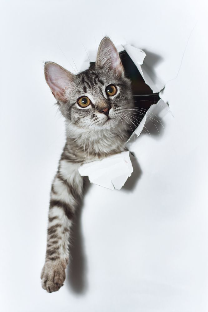 Photograph by Мария Шабурникова