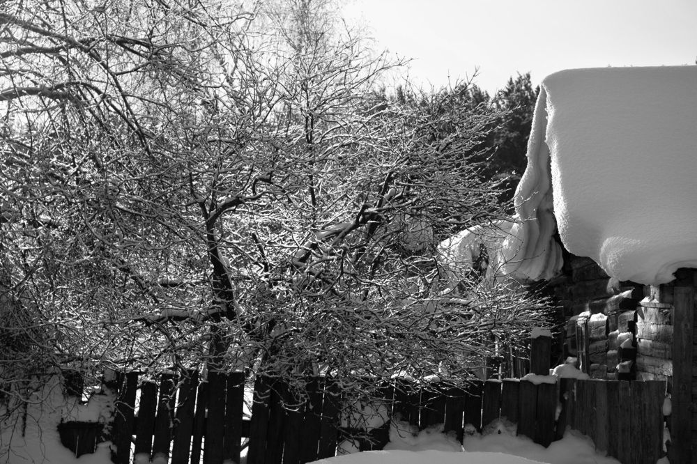 Photograph by Елена Кузьмина