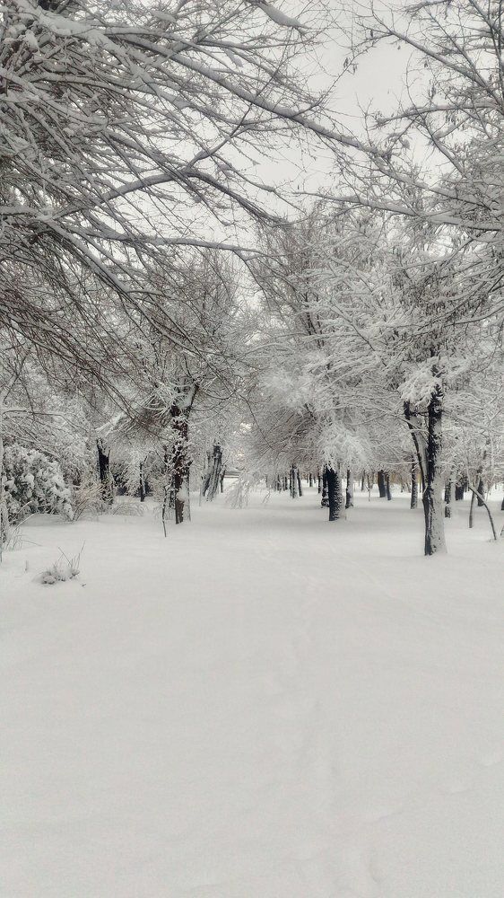 Photograph by Ирина Бочарова