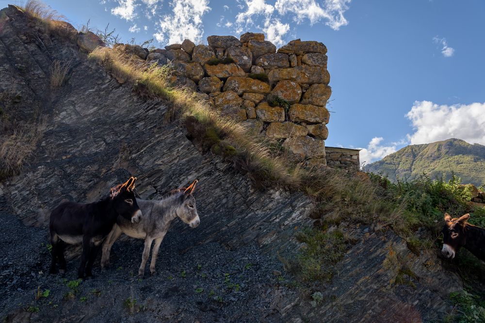 Фотография автора Yakovlev Artur