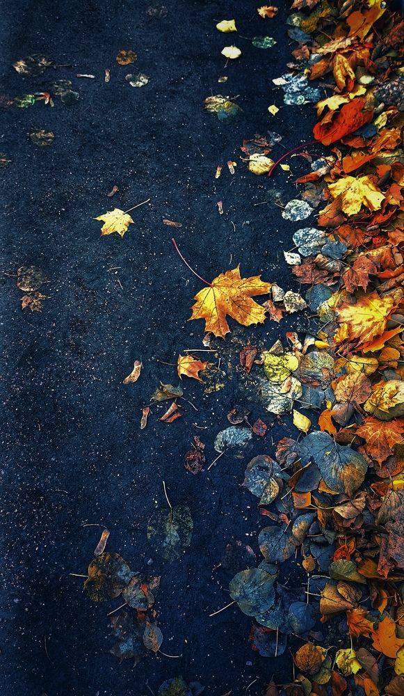 Photograph by Олеся Лосыгина