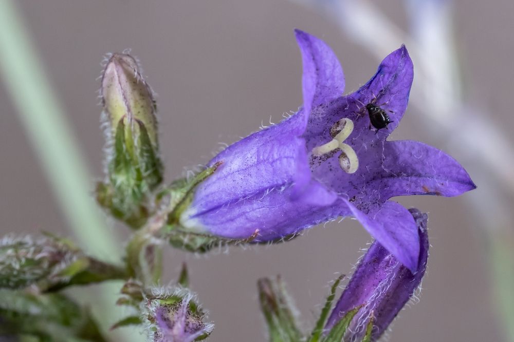 Фотография автора Андрей Арапов