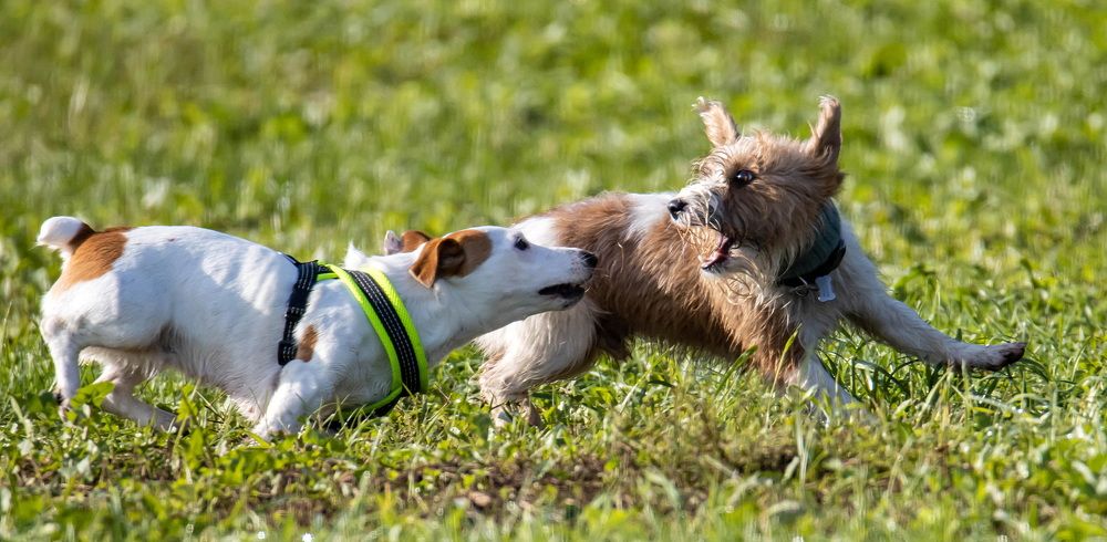 Photograph by Волынский Виктор