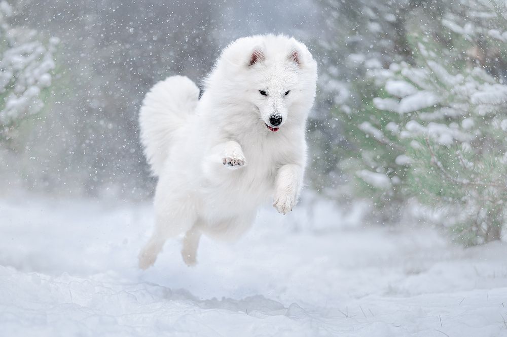 Photograph by Оксана Серова