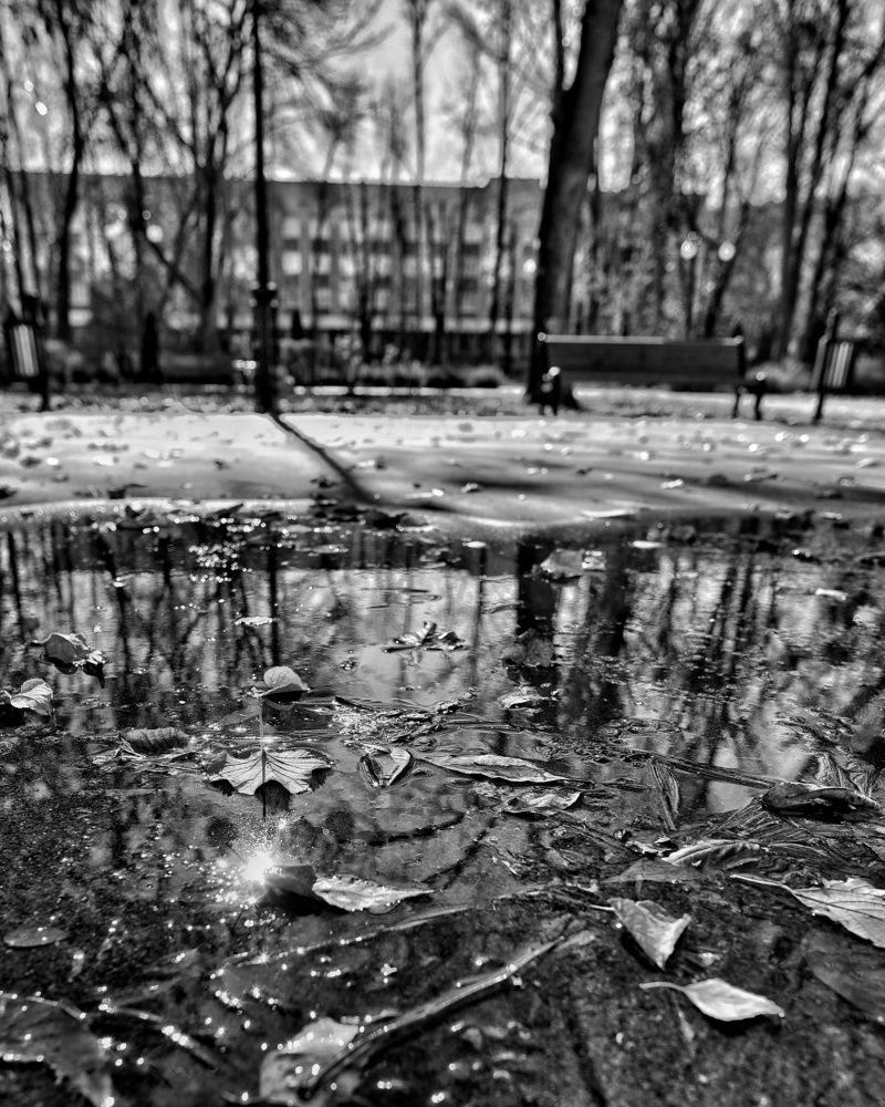 Фотография автора Андрей Арапов