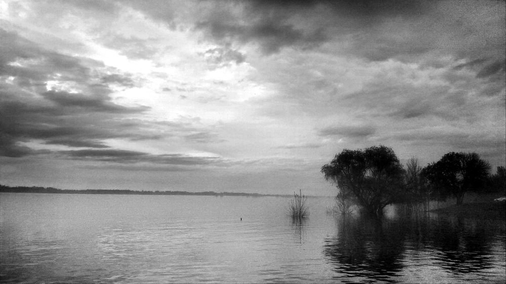 Photograph by Ирина Бочарова