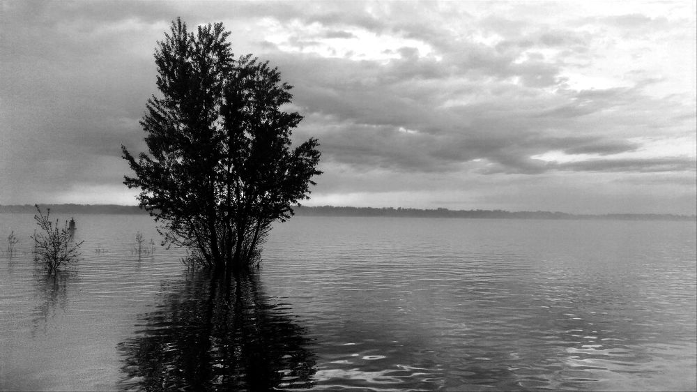 Photograph by Ирина Бочарова