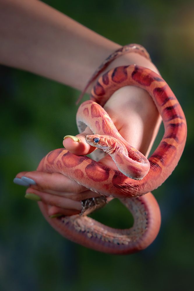 Фотография автора Оксана Серова