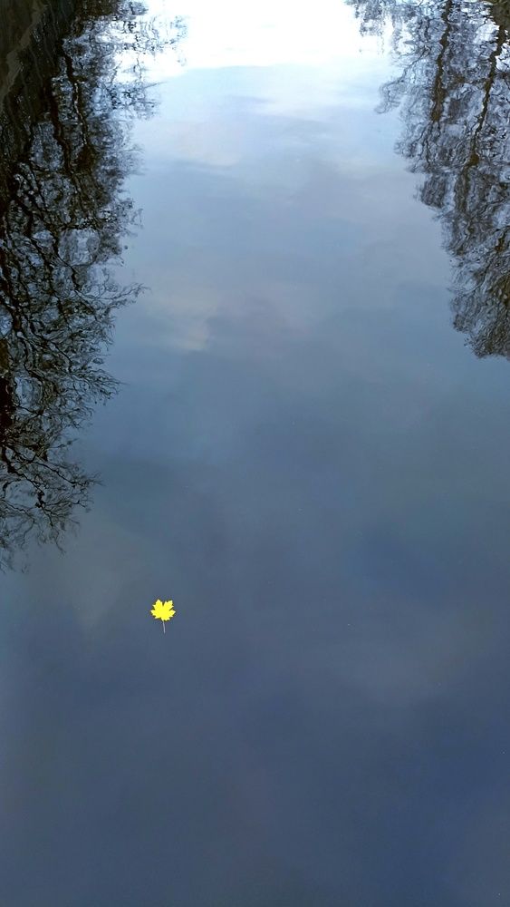 Photograph by Олеся Лосыгина