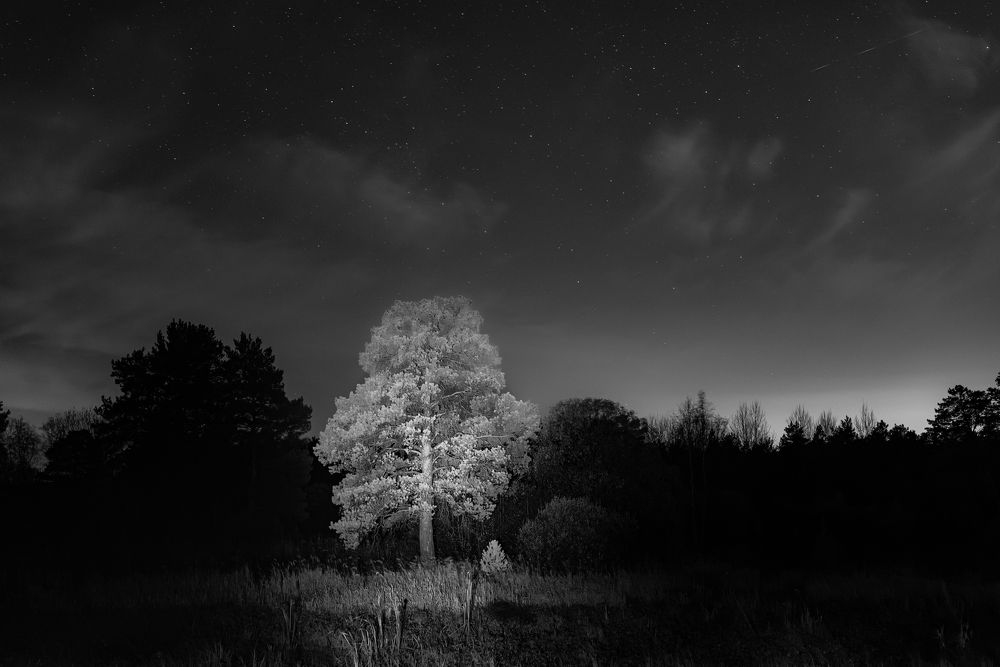 Photograph by Сергей Завьялов