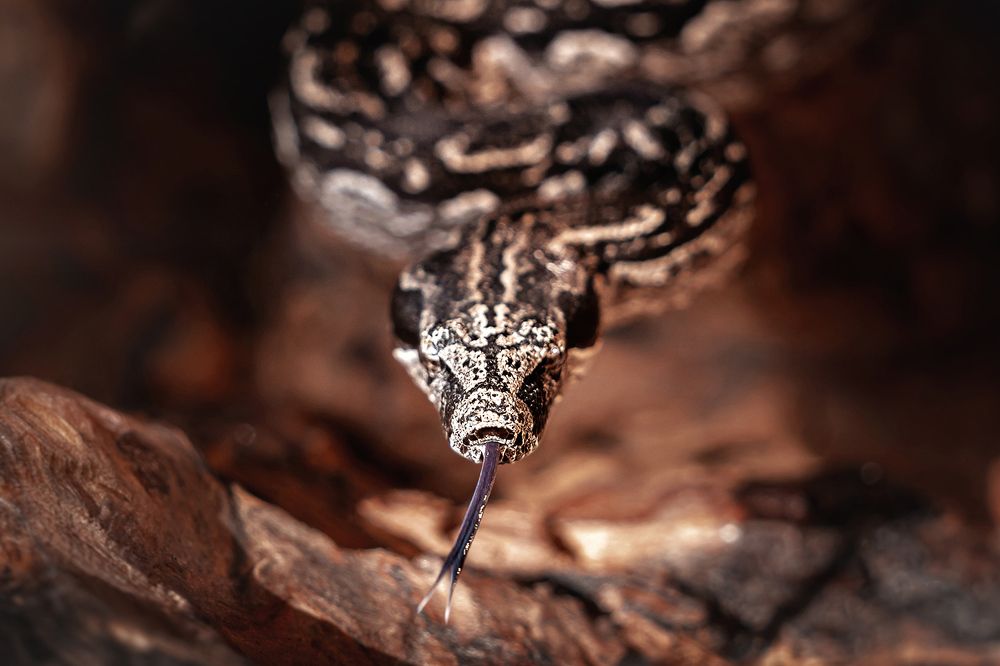 Фотография автора Оксана Серова