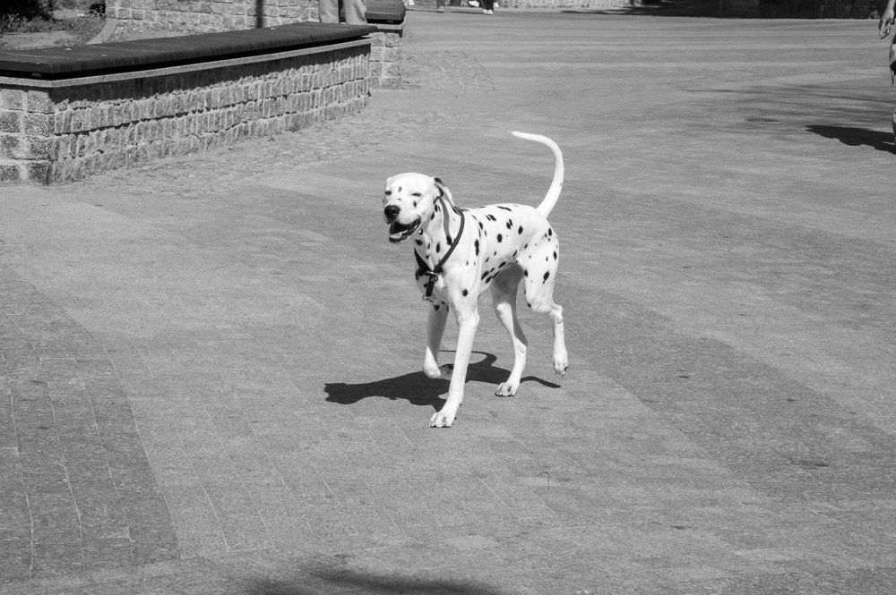 Фотография автора Владимир Брызгунов