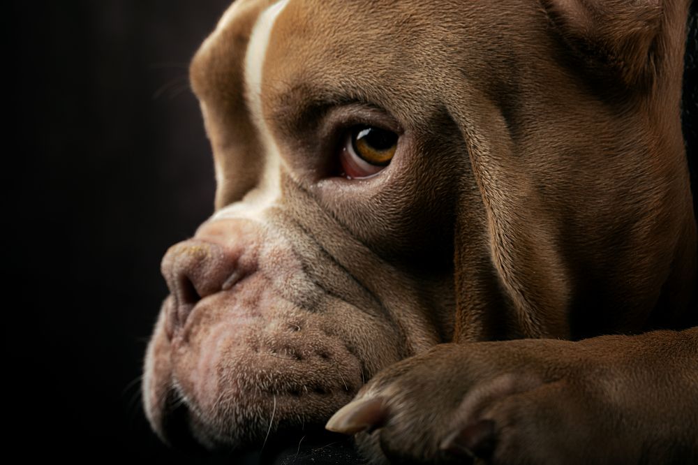 Photograph by Марина Бикеева-Сулейманова